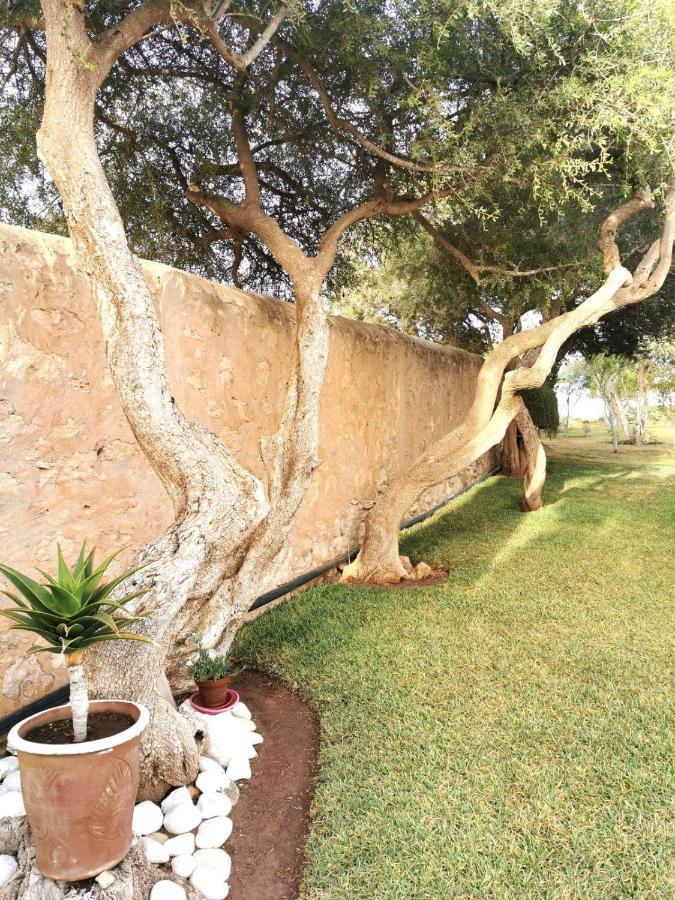 Maison Mimosa, Lovely 3 Bedroom Villa With A Large Pool Essaouira Luaran gambar