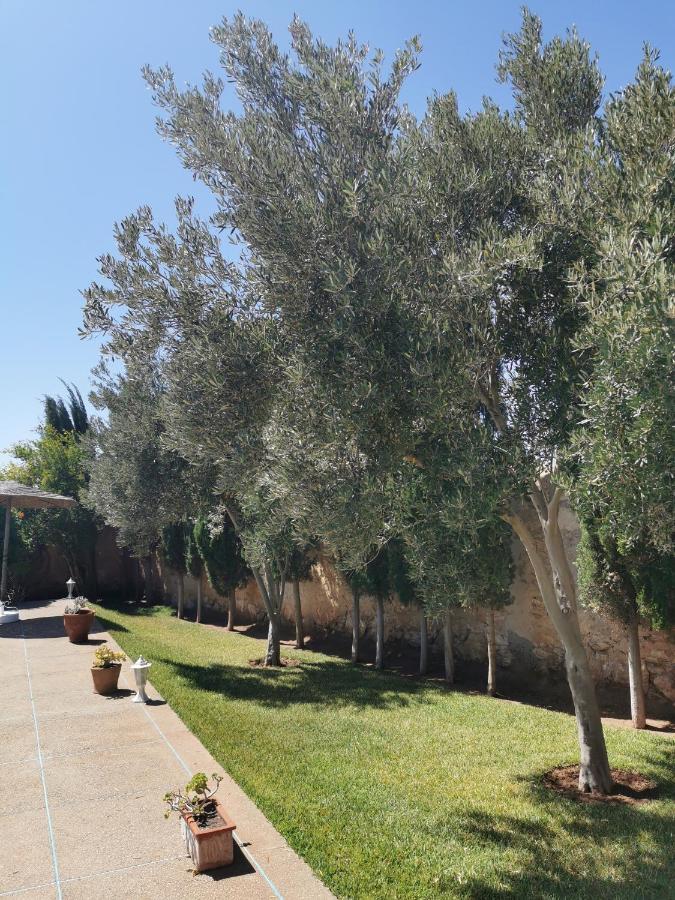 Maison Mimosa, Lovely 3 Bedroom Villa With A Large Pool Essaouira Luaran gambar