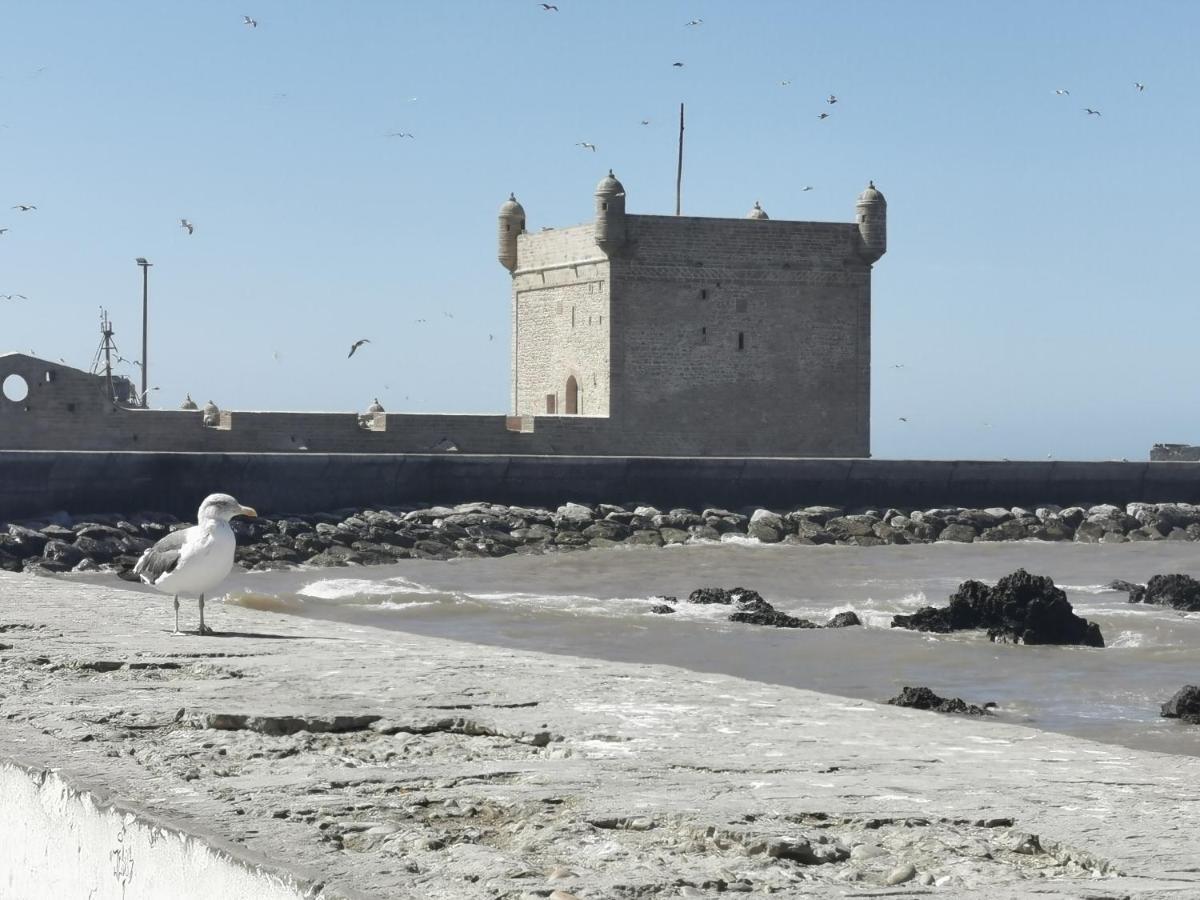 Maison Mimosa, Lovely 3 Bedroom Villa With A Large Pool Essaouira Luaran gambar